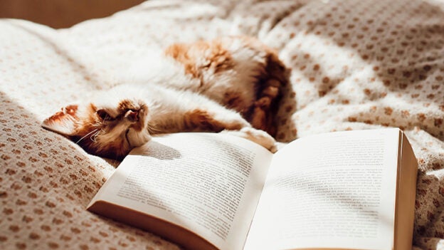 How Our Community Saved 3.4 Million Cats