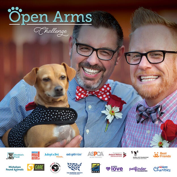 Online Event – 10/12/21 – Open Arms Huddle #3 – How to Get Your Entire Community Involved – Maddie’s Fund