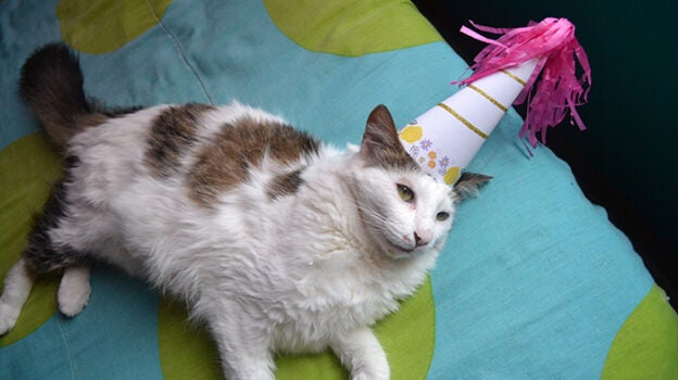 Shrinking Denominators on Your Way to World Domination: When a Lower Live Release Rate Is Worth Celebrating