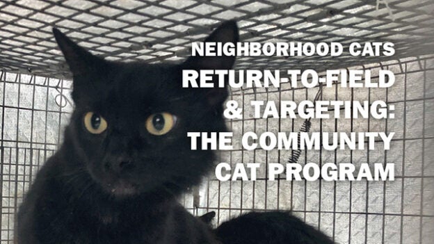 Webinar – 11/13/21 – Return-to-Field & Targeting: The Community Cat Program – Community Cats Podcast