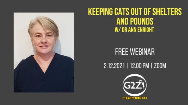 Webinar – 12/1/21 – Keeping cats out of shelters and pounds – Getting 2 Zero