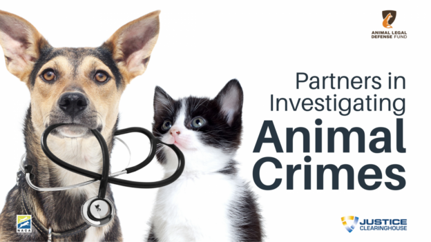 Webinar – 1/20/22 – Partners in Investigating Animal Crimes – NACA/Justice Clearinghouse