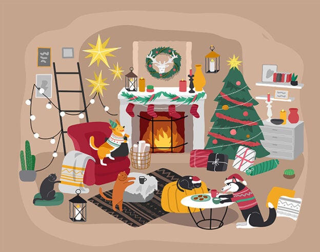 CASCAR Zoom Call for California Shelters – 12/14/21 – Holiday Hurrah, CASCAR-Style – UC Davis KSMP