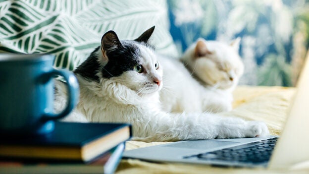 Announcing our Spring 2022 Bootcamp Cohorts