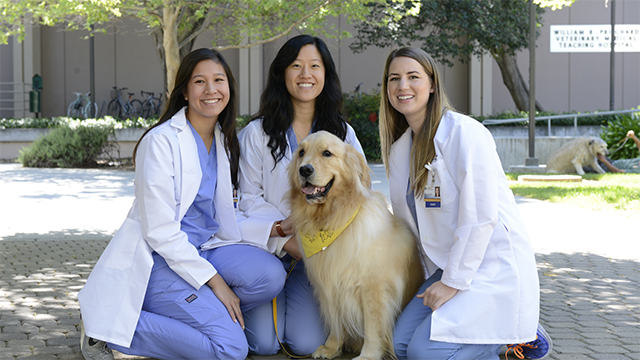 UC Davis vet students pose with dog