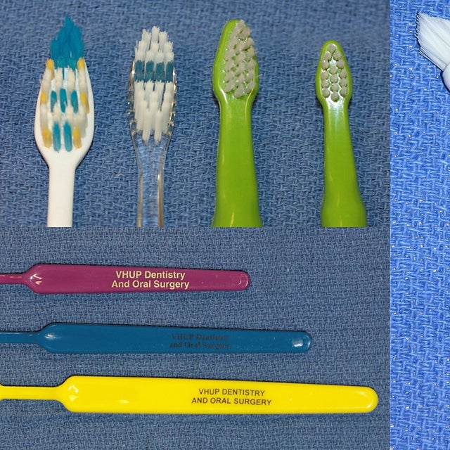 Toothbrushes of different sizes, colors