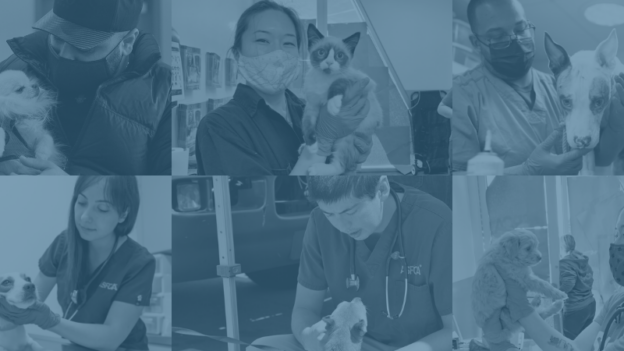 Online Conference – 10/16/23 to 10/19/23 – 2023 Access to Veterinary Care Conference – ASPCA (fee applies)