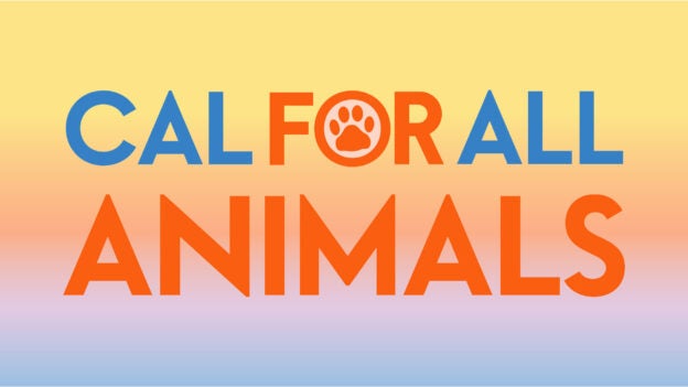 Apply for a California for All Animals Open Grant Through June 30