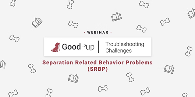 GoodPup presents a Separation Related Behavior Problems Webinar on June 16