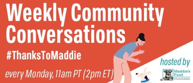 Online Meeting – Mondays – Weekly Community Conversations #ThanksToMaddie – Maddie’s Fund