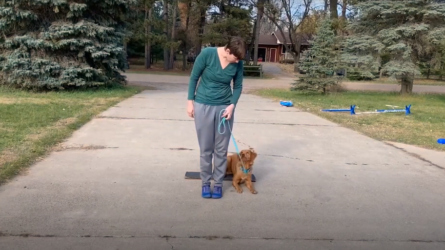 Image of trainer with dog from Rally TEAM webinar trailer