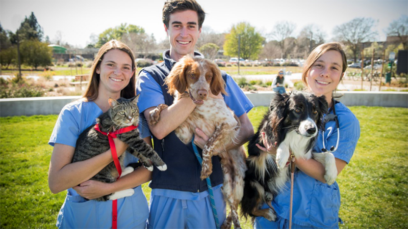 UC Davis Veterinary Medicine Residents hold dogs and cats