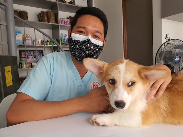 veterinarian with dog