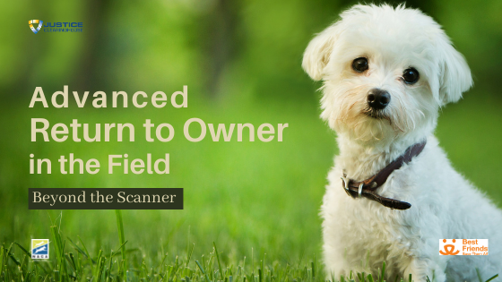 Advanced Return to Owner in the Field webinar