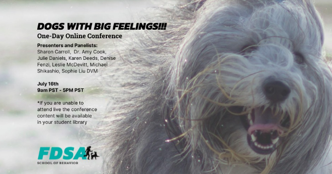 Dogs with Big Feelings one-day conference