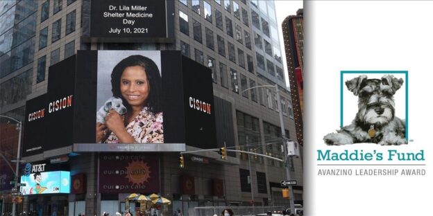 Holiday – July 10 – Dr. Lila Miller Shelter Medicine Day – Maddie’s Fund