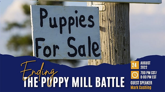 Ending the Puppy Mill Battle webinar