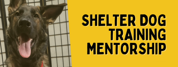 Online Course – Starts 9/1/22 – Shelter Training Behavior Mentorship – Shelter Behavior Hub (fee applies)