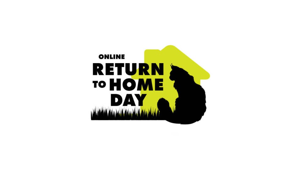 Community Cats Podcast Online Return to Home Day