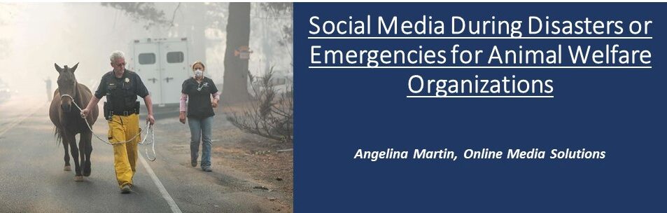 CalAnimals Social Media During Disasterswebinar