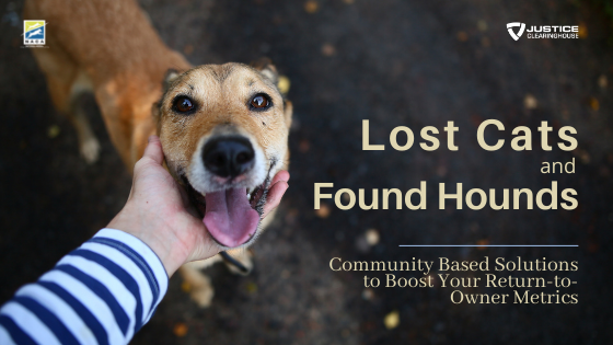Lost Cats and Found Hounds NACA webinar