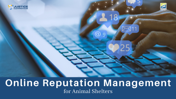 Reputation Management for Animal Shelters webinar