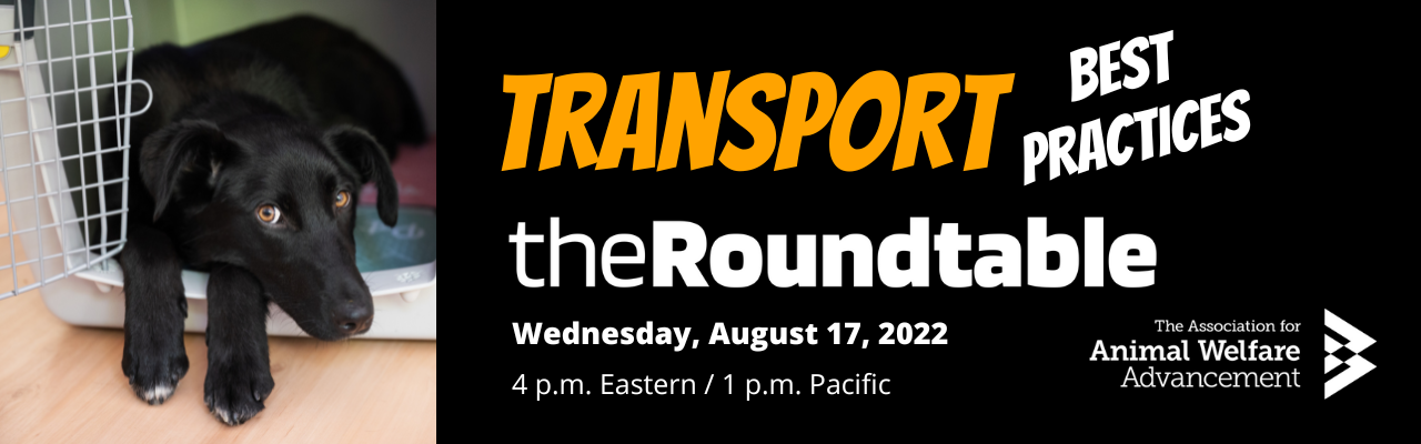 The AAWA Transport Roundtable