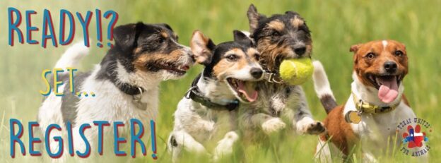 Conference – 10/14/22 to 10/17/22 – Texas Unites for Animals Conference 2022 – Texas Unites for Animals