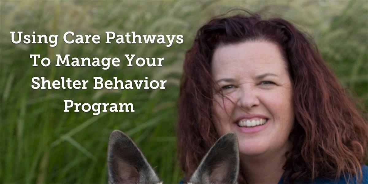 Using Care Pathways to Manage Your Shelter Behavior Program