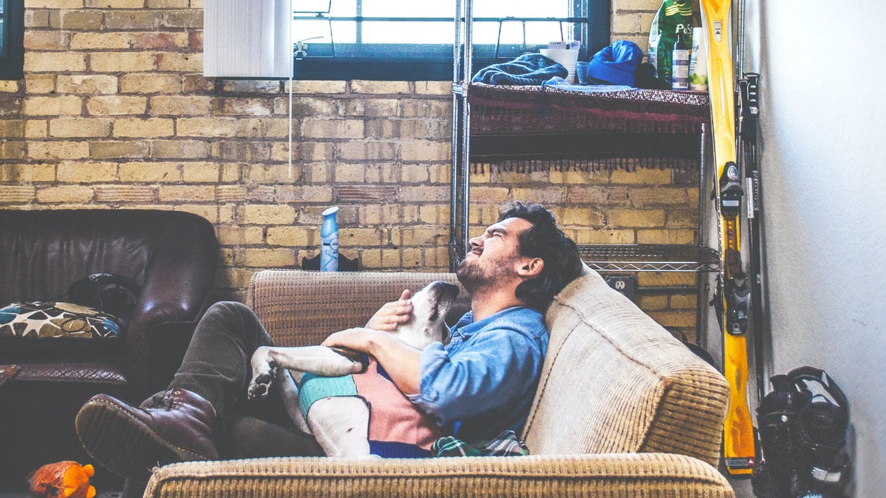 Man and foster dog cuddle on couch