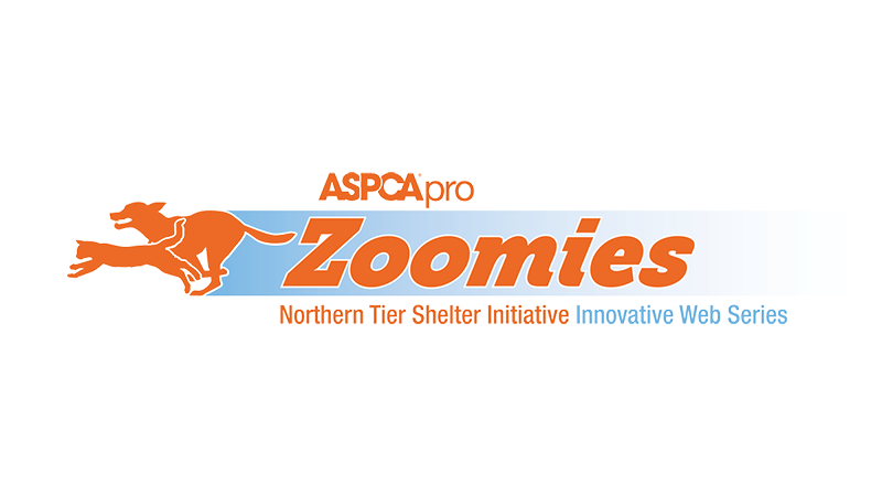 ASPCApro Zoomies Northern Tier Shelter Initiative Innovative Web Series