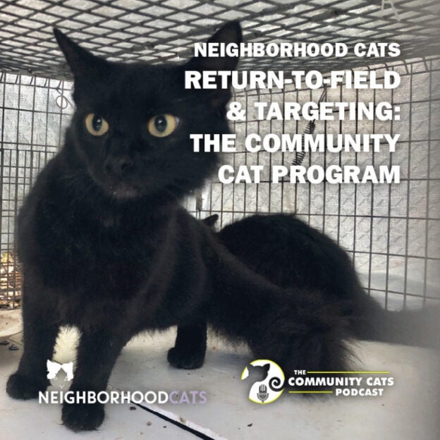 Webinar – 11/12/22 – Return-to-Field & Targeting: The Community Cat Program – Community Cats Podcast