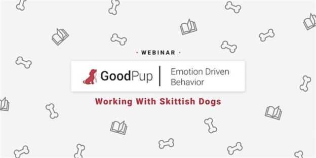 Webinar – 9/15/22 – Emotion Driven Behaviors – Working with Skittish Dogs – GoodPup