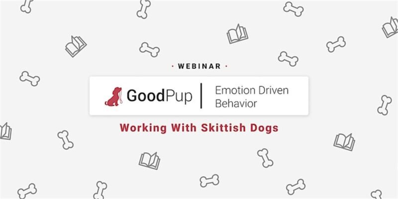 Working with Skittish Dogs webinar
