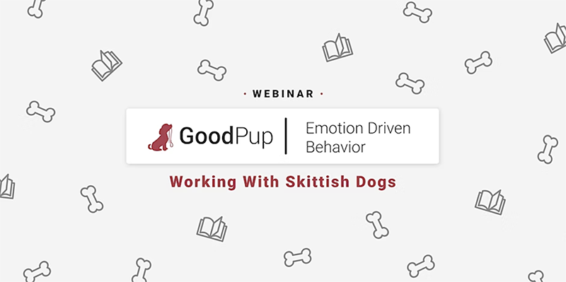 GoodPup Building Training Plans for Skittish Dogs