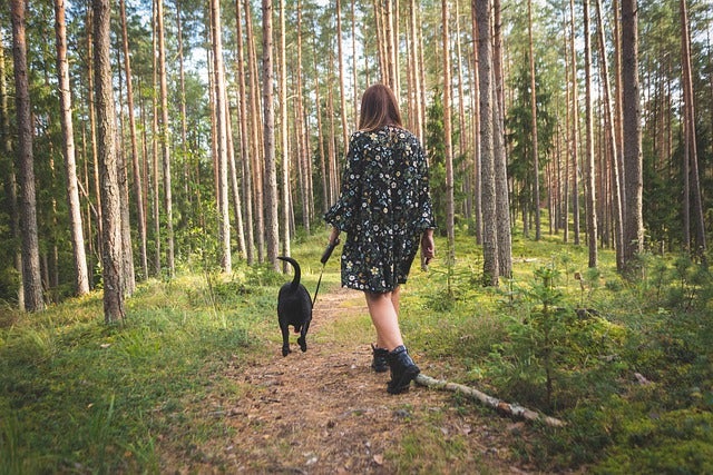 Woman walks black dog down forest path