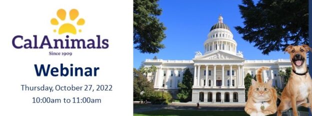Webinar – 10/27/22 –  Find Success Working with Elected Officials – CalAnimals