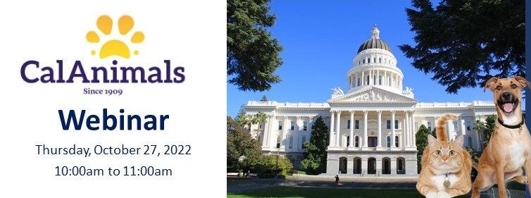 Find Success Working with Elected Officials CalAnimals webinar