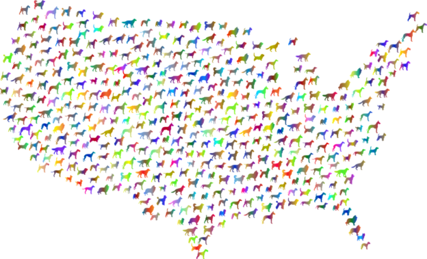 Webinar – 11/14/22 – Leptospirosis and Canine Influenza Virus Outbreaks: Could Maps Help You Stay Up to Date? – VETGirl