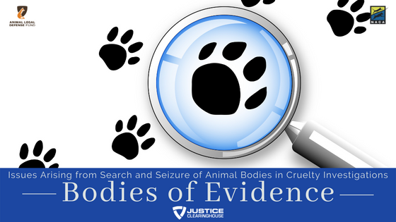 Webinar graphic for NACA Bodies of Evidence