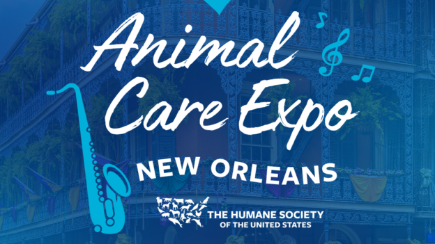 Hybrid Conference – 4/2/23 to 4/6/23 – Animal Care Expo 2023 – HSUS (fee applies)