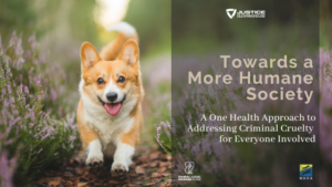 Webinar – 2/22/23 – Towards a More Humane Society: A One-Health ...