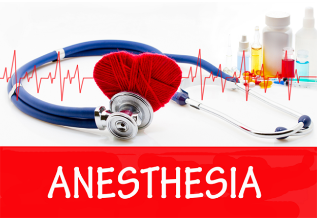 Webinar – 1/31/23 – “Safety First”–Tips to Improve Anesthetic Patient Care in Your Hospital – VETGirl (fee applies)