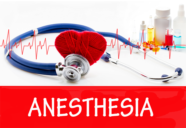 VETGirl Anesthesia Webinar