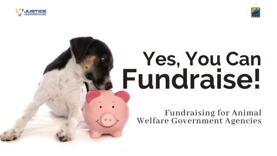 Yes, You Can Fundraise webinar