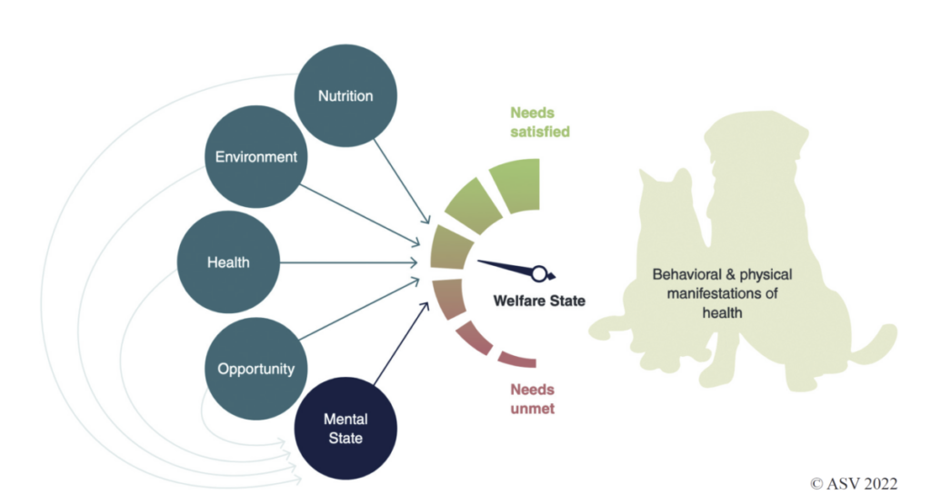 ASV Guidelines Five Freedoms of Animal Welfare