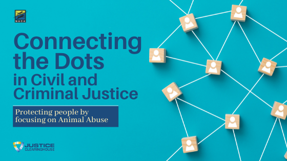 Connecting the Dots in Civil and Criminal Justice