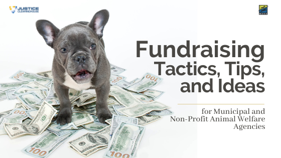 Fundraising Tactics, Tips, and Ideas for Municipal and Non-Profit Animal Welfare Agencies