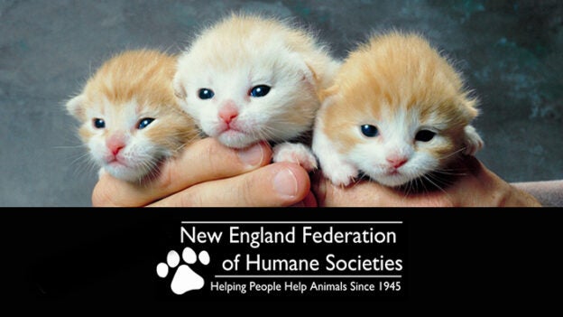 Conference – 4/15/23 to 4/17/23 – 2023 New England Federation of Humane Societies Conference – NEFHS (fee applies)
