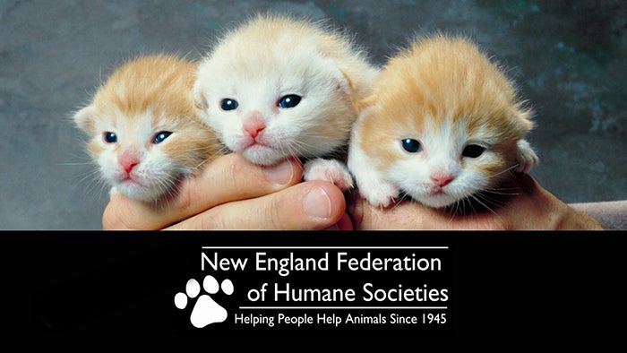 New England Federation of Humane Societies Conference